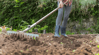 Winterizing your Vegetable Garden